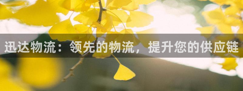 28圈注册二维码