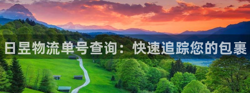 28圈注册网站多少钱：日昱物流单号查
