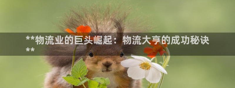 28圈是正规软件吗：**物流业的巨头