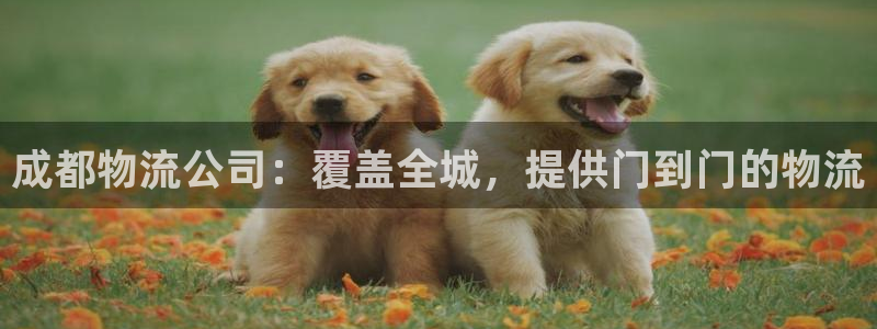 28圈初始资金密码在哪里改