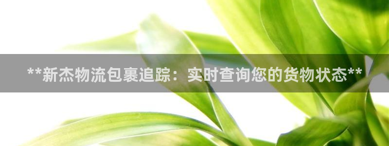 28圈注册登录：**新杰物流包裹追踪