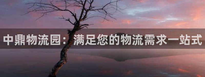 28圈反水怎么算：中鼎物流园：满足您