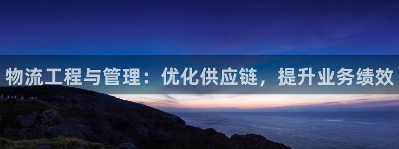 28圈麻将：物流工程与管理：优化供应