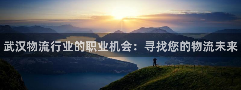 28圈流水怎么算：武汉物流行业的职业