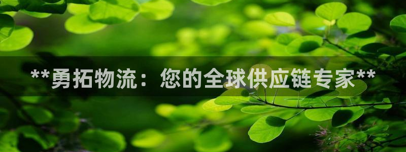 28圈p扣除是什么意思