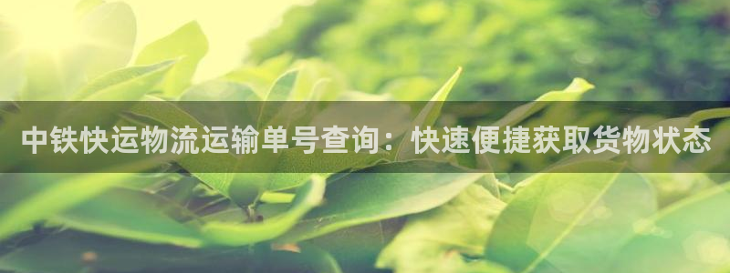 28圈官方平台