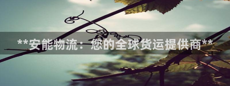 28圈ccm游戏