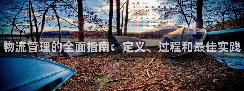 28圈充值不处理怎么办：物流管理的全