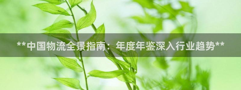 28圈加拿大能提现吗
