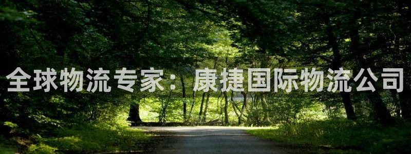 28圈怎么注册账号：全球物流专家：康