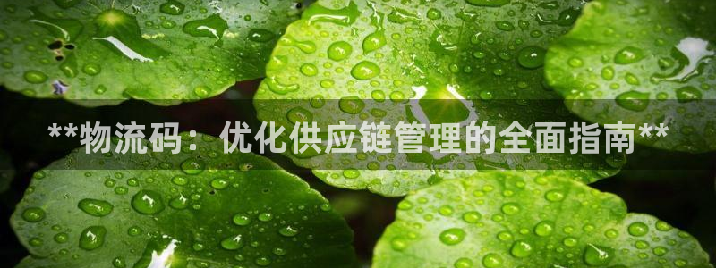 28圈官方平台：**物流码：优化供应