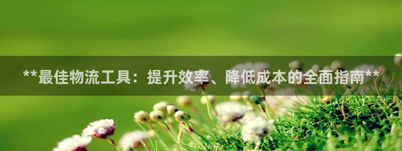 自行车28圈是什么意思