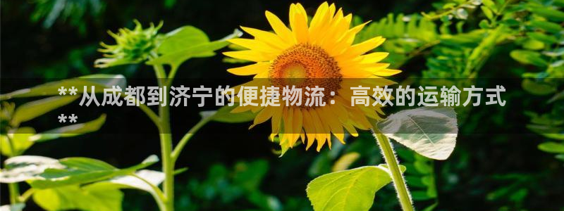 28圈新用户怎么注册：**从成都到济