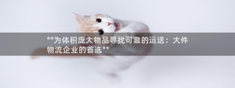 28圈加拿大开奖：**为体积庞大物品