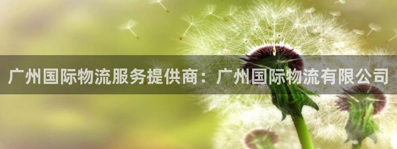 28圈系统自动保护