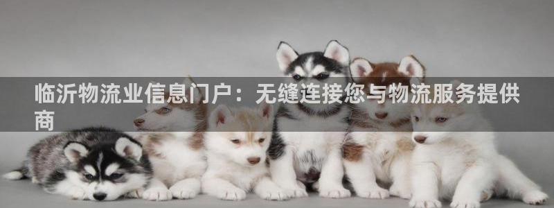 28圈注册登录链接流程：临沂物流业信