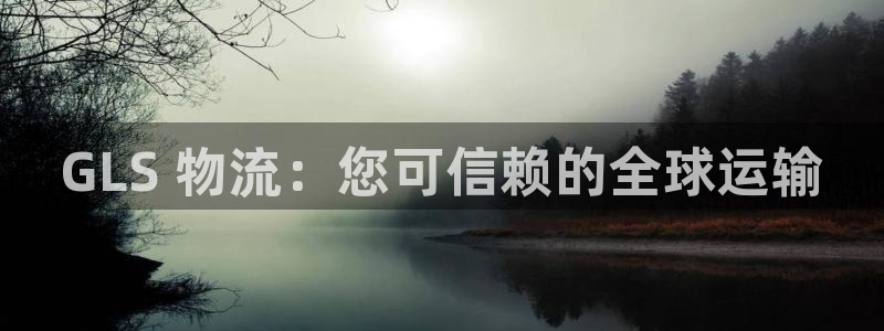 南宫28圈官网：GLS 物流：您可信