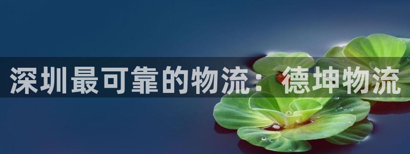 28圈是干嘛的：深圳最可靠的物流：德