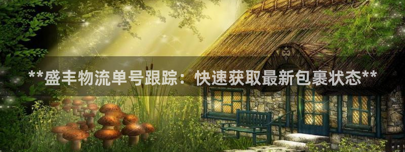 28圈加拿大真假怎么看：**盛丰物流