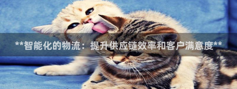 28圈p图上分下款通道