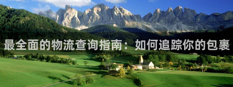 28圈系统自动保护：最全面的物流查询