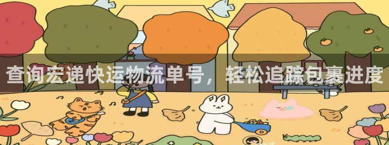28圈.ccm2024：查询宏递快运