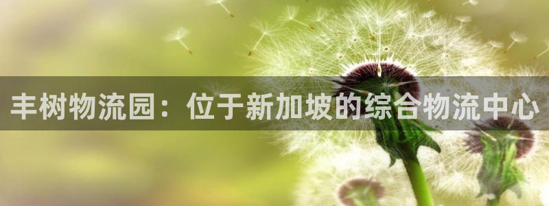 28圈.ccmapp：丰树物流园：位