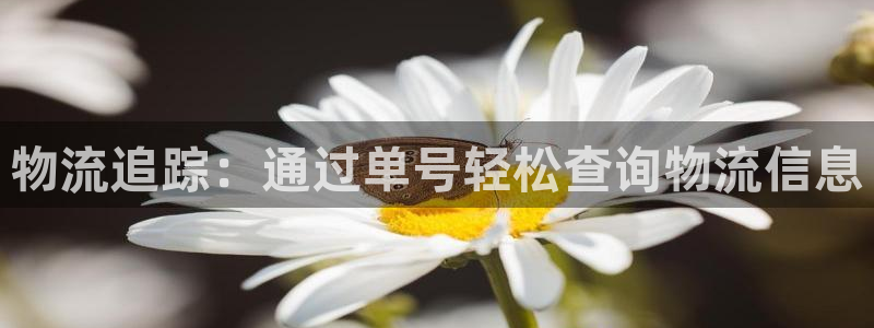 28圈.ccmpcios