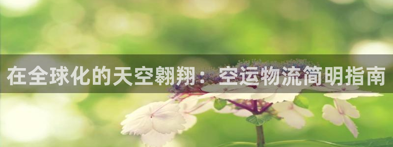 28圈加拿大28
