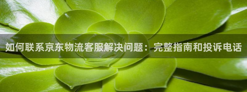 28圈官网平台下载：如何联系京东物流