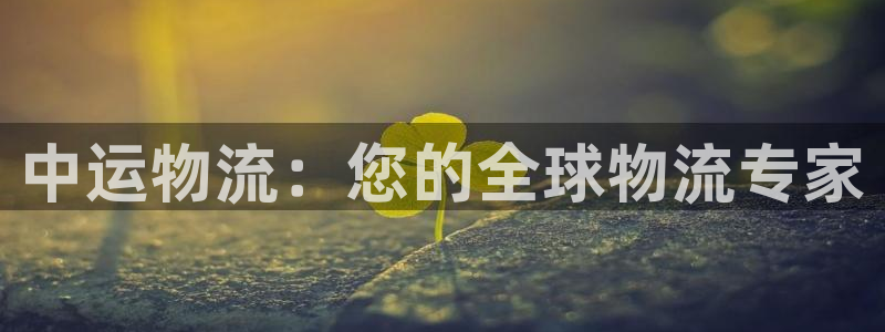 28圈注册网站多少钱一个：中运物流：