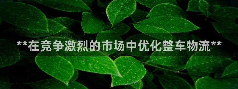 28圈注册平台：**在竞争激烈的市场