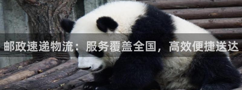 28圈.ccmpc29官网版：邮政速