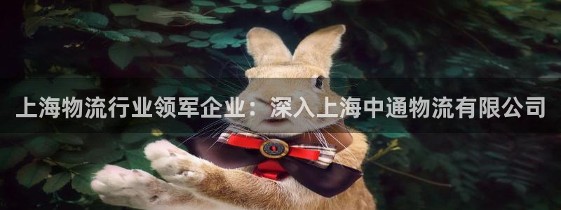 28圈注册网站多少钱：上海物流行业领
