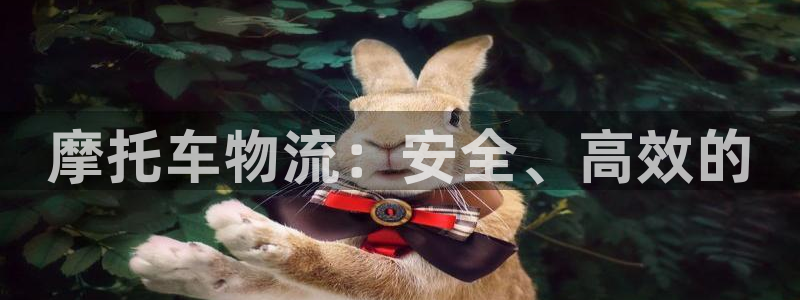 28圈免费充钱：摩托车物流：安全、高