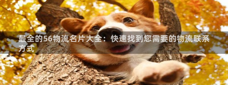 28圈口：最全的56物流名片大全：快