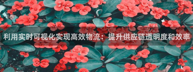 28圈模拟器：利用实时可视化实现高效