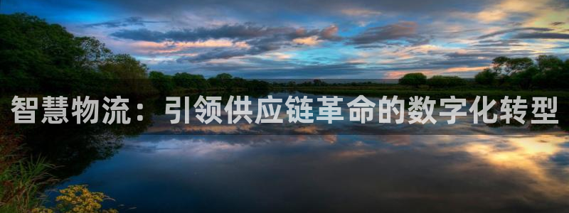 28圈能赢钱吗：智慧物流：引领供应链