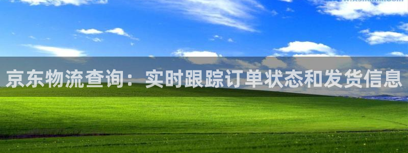 28圈正规吗?：京东物流查询：实时跟