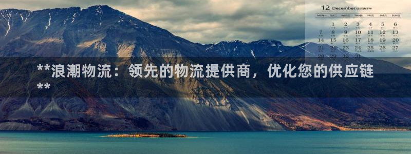 28圈技巧：**浪潮物流：领先的物流