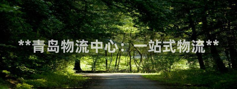 28圈头像：**青岛物流中心：一站式