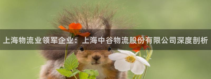 28圈如何退款：上海物流业领军企业：