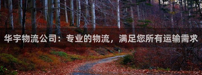 28圈百度百科：华宇物流公司：专业的