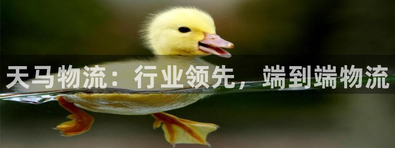 28圈机器人是什么软件