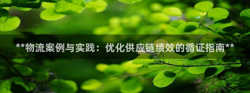 28圈pg如何退钱：**物流案例与实