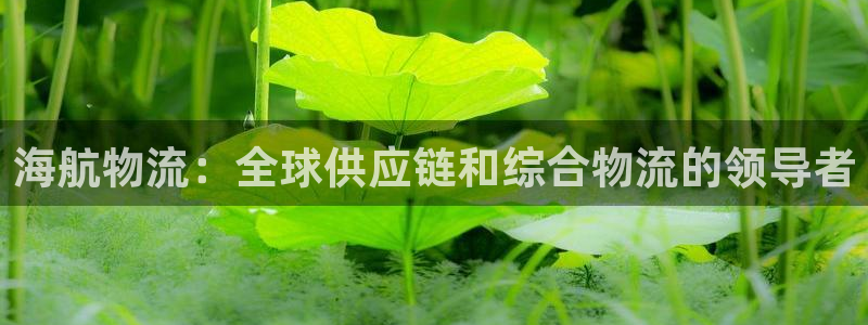 28圈如何看计划：海航物流：全球供应