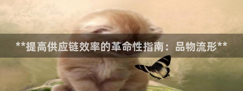 28圈稳吗：**提高供应链效率的革命