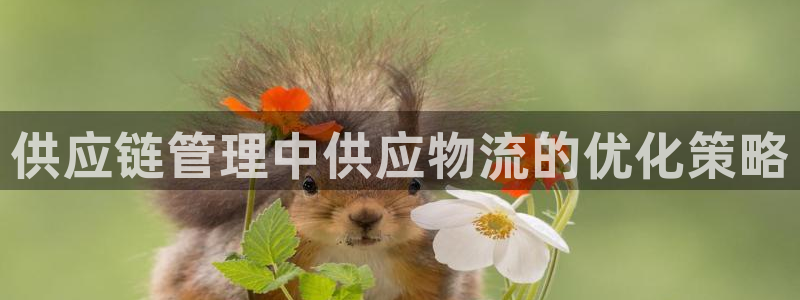 28圈大神预测