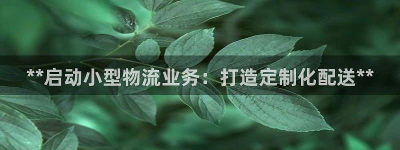 28圈里的财神：**启动小型物流业务