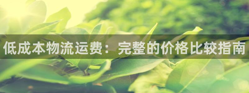 28圈在线预测官网：低成本物流运费：